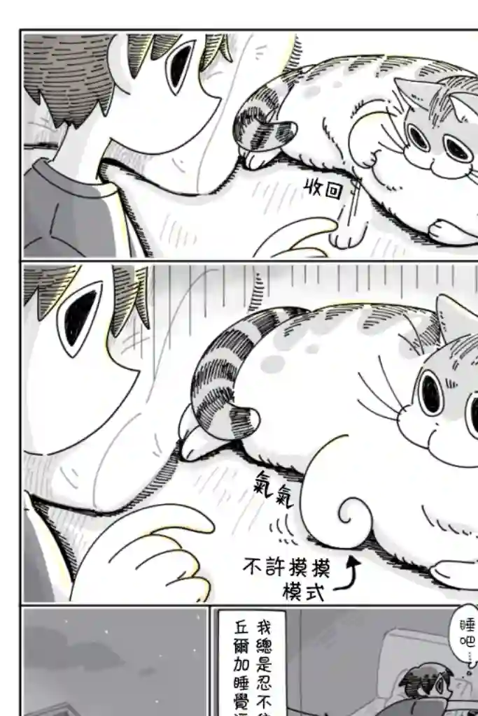 关于养猫我一直是新手第27话