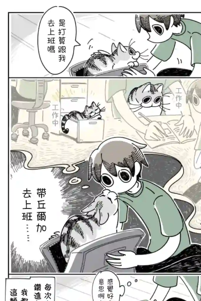 关于养猫我一直是新手第28话