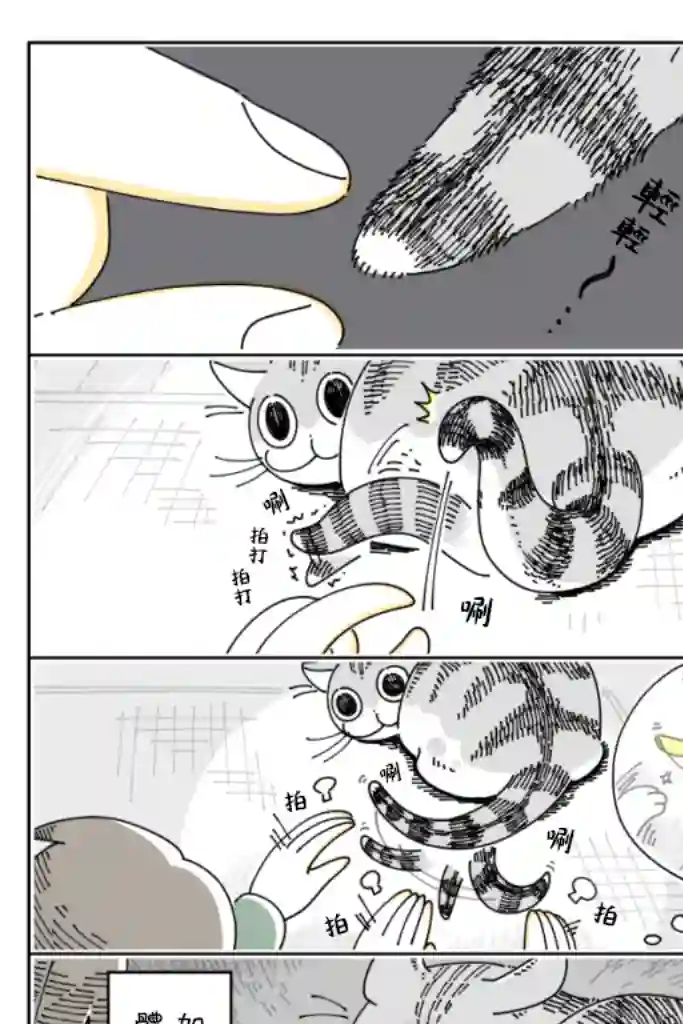 关于养猫我一直是新手第31话