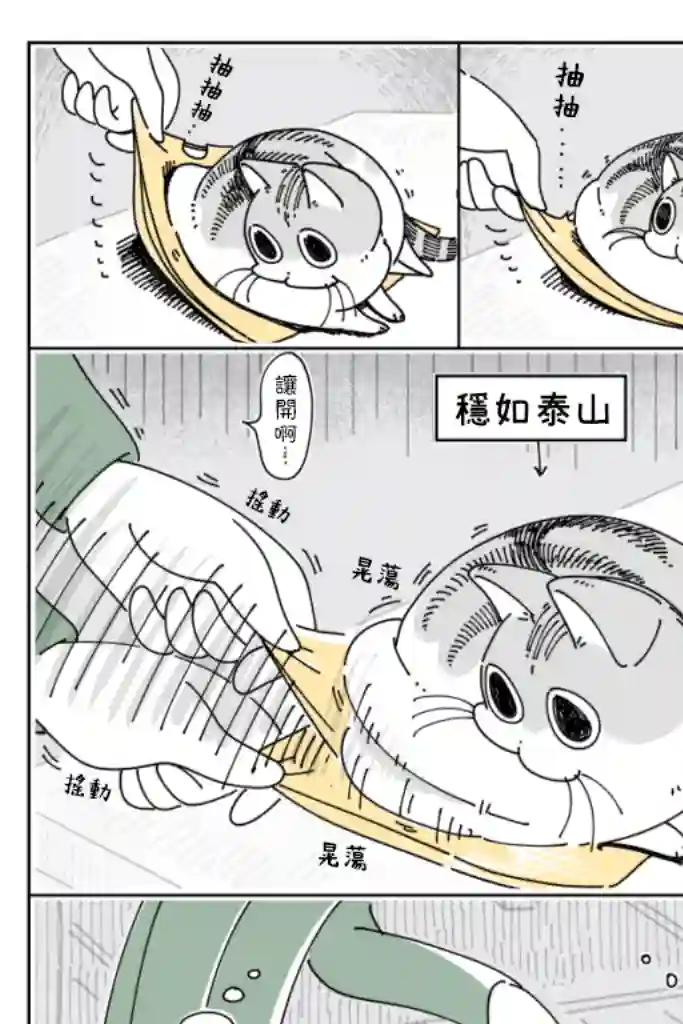 关于养猫我一直是新手第32话