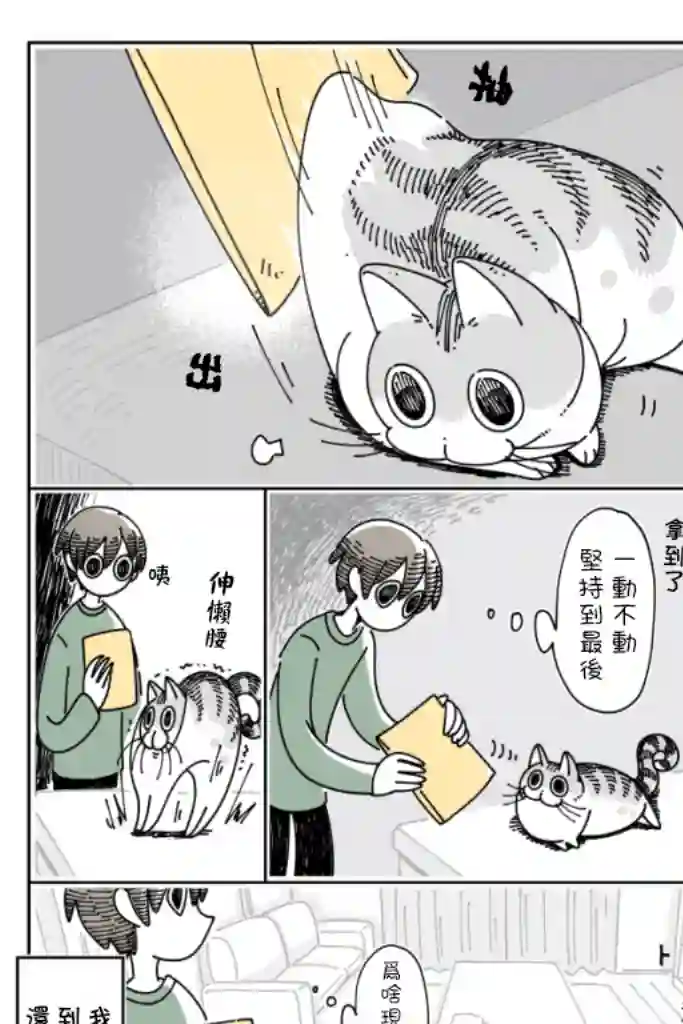 关于养猫我一直是新手第32话