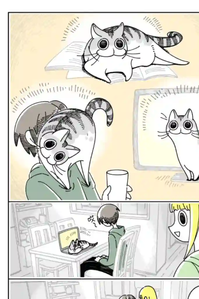 关于养猫我一直是新手第33话