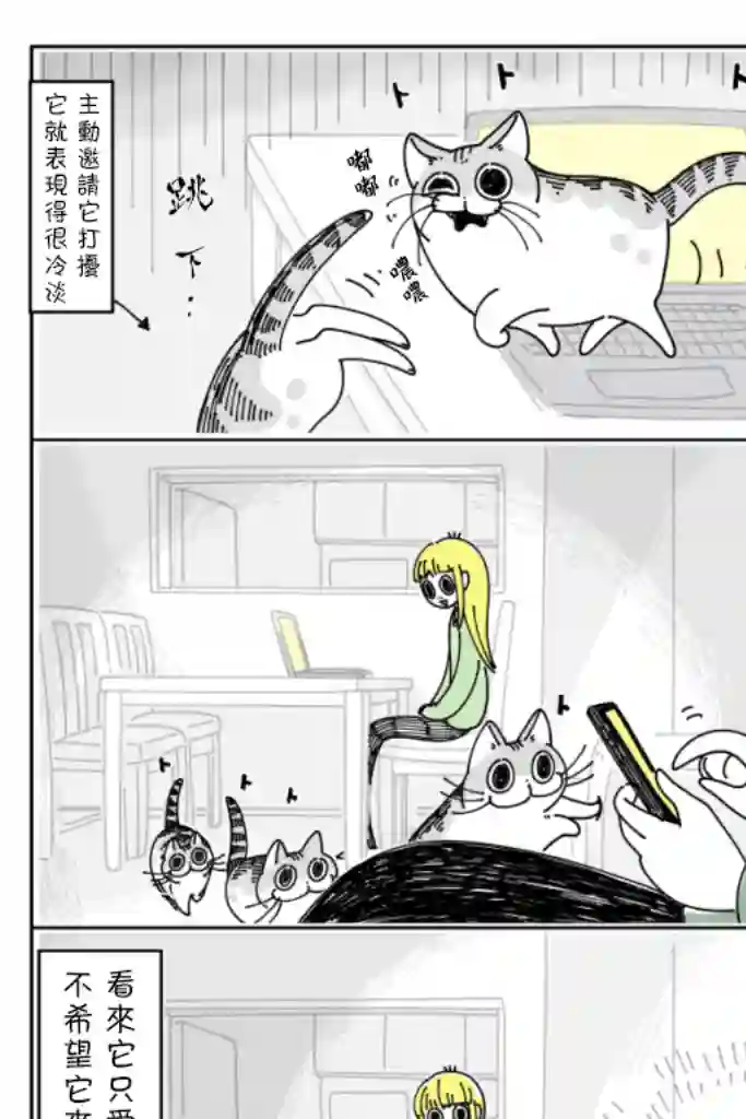 关于养猫我一直是新手第33话