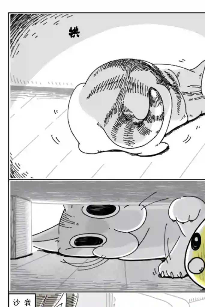 关于养猫我一直是新手第34话