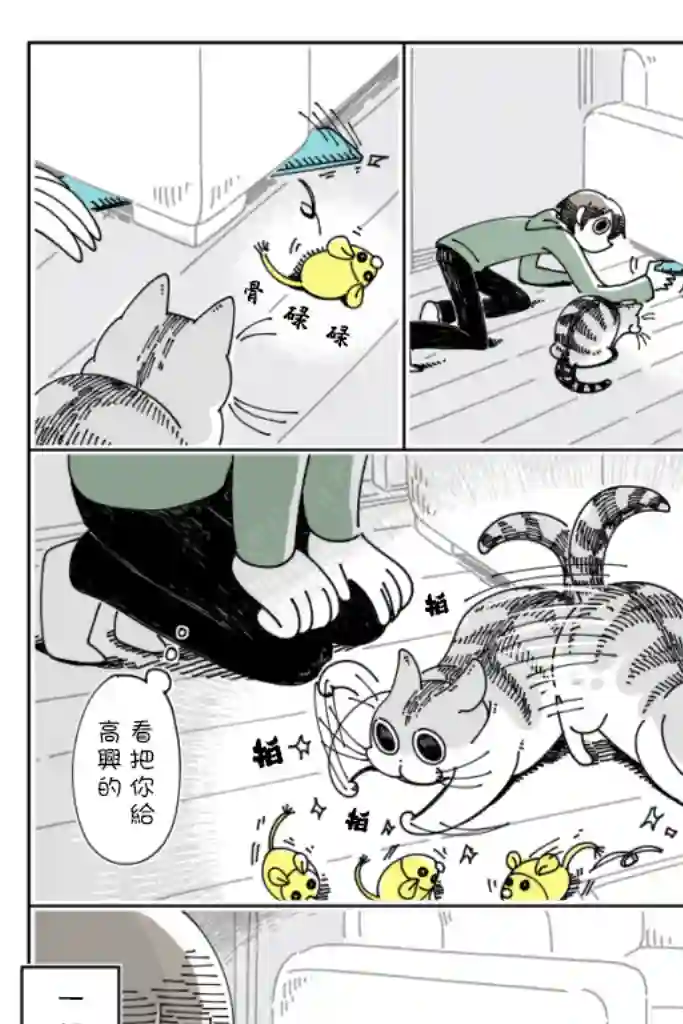 关于养猫我一直是新手第34话