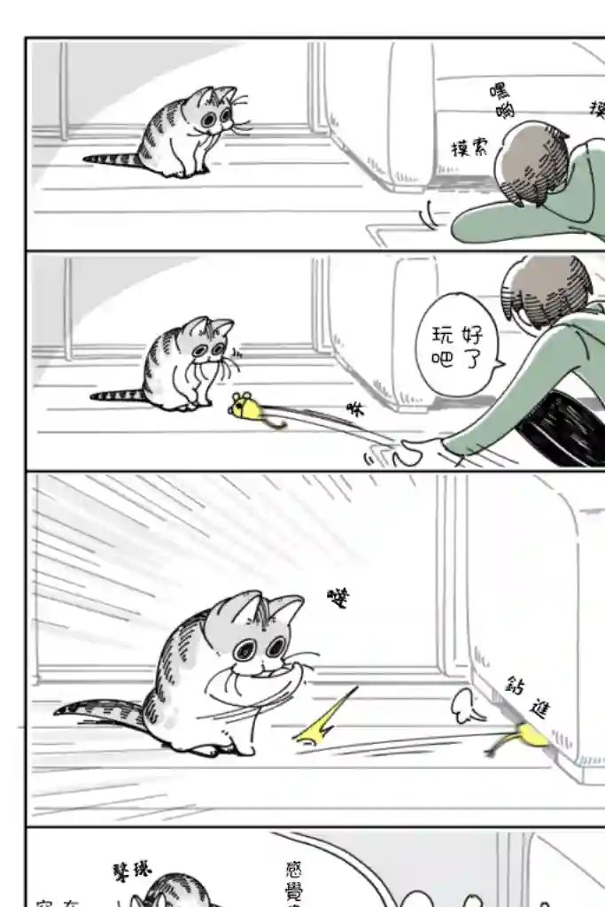 关于养猫我一直是新手第34话