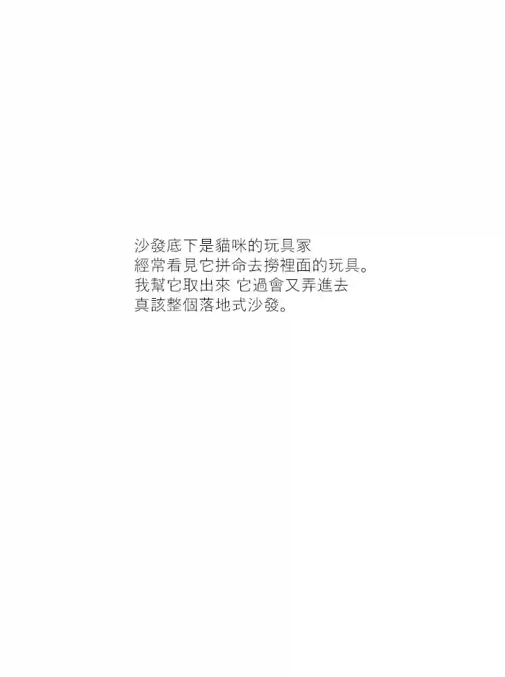 关于养猫我一直是新手第34话