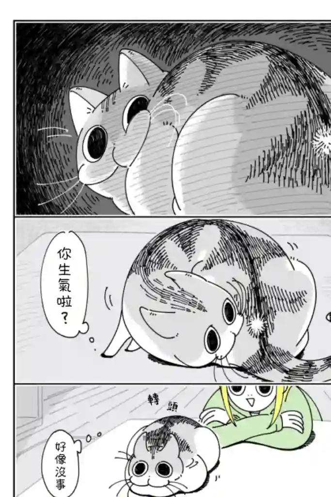 关于养猫我一直是新手第35话