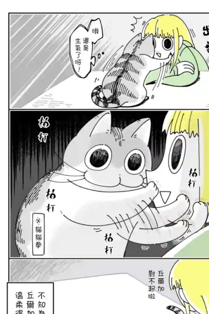 关于养猫我一直是新手第35话