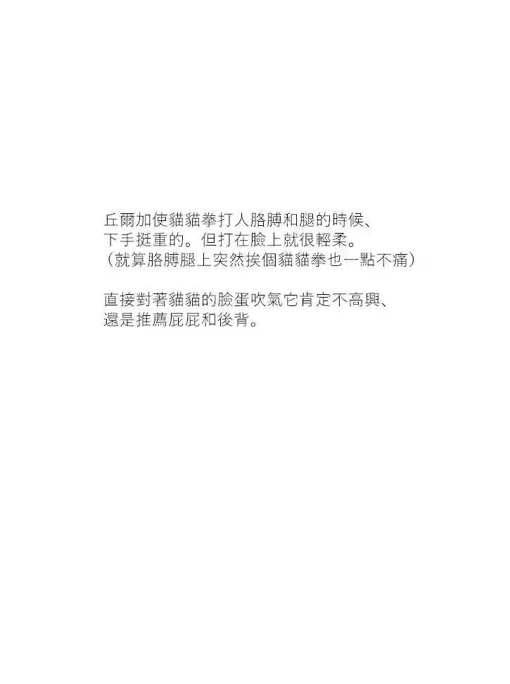 关于养猫我一直是新手第35话