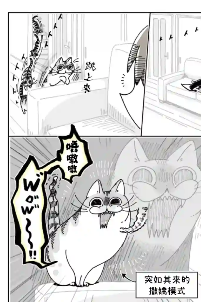 关于养猫我一直是新手第36话
