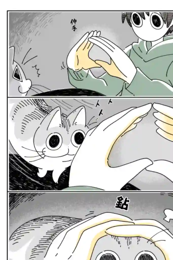 关于养猫我一直是新手第36话