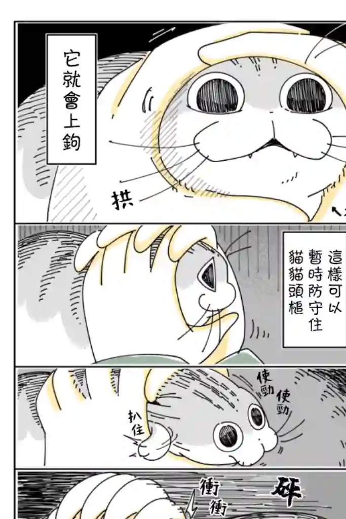 关于养猫我一直是新手第36话