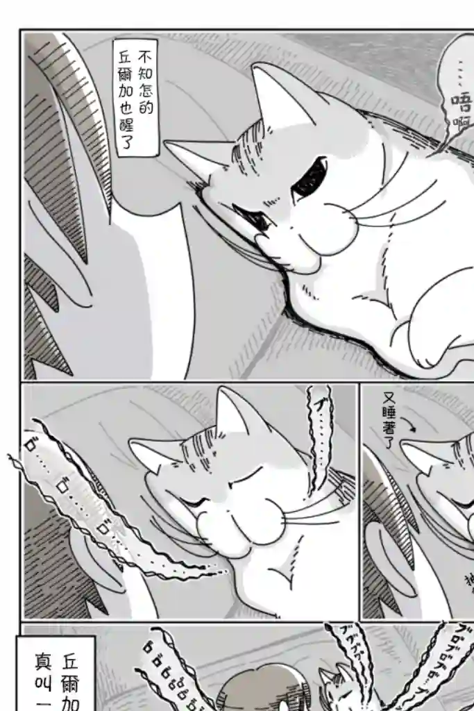 关于养猫我一直是新手第37话