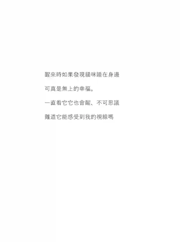 关于养猫我一直是新手第37话