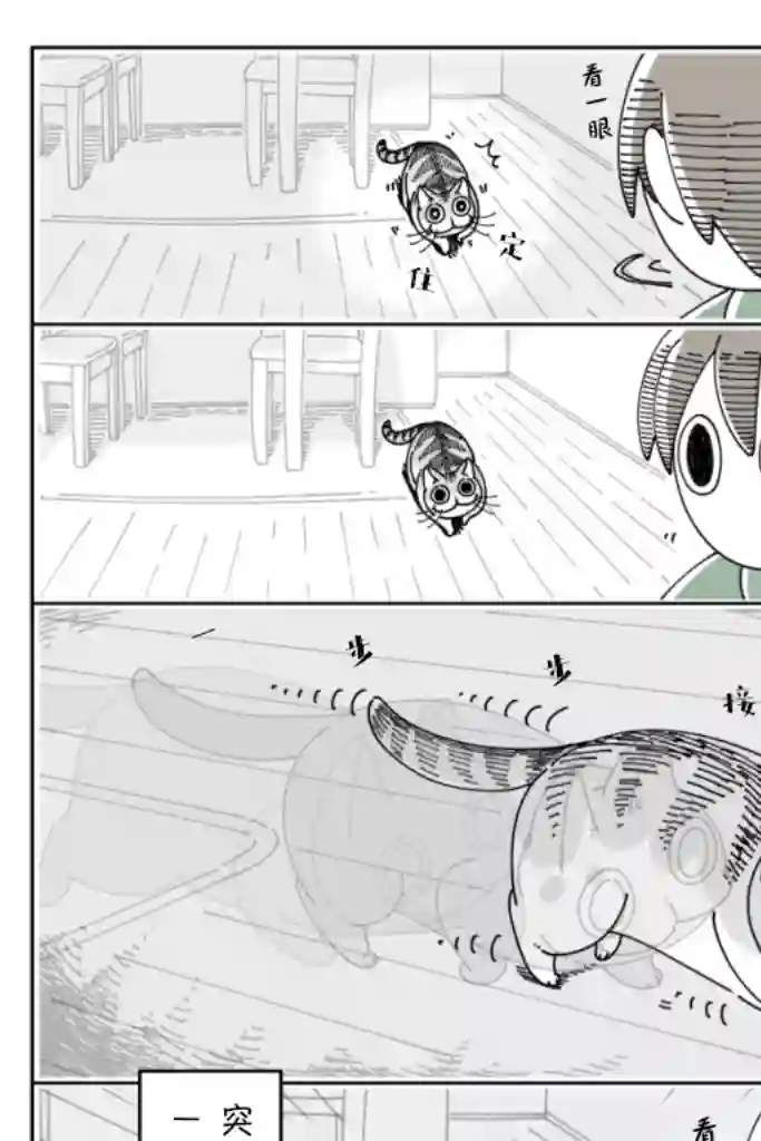 关于养猫我一直是新手第38话