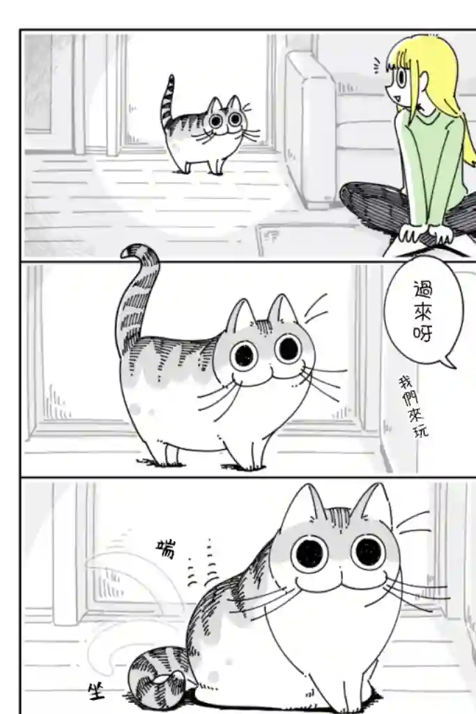关于养猫我一直是新手第39话