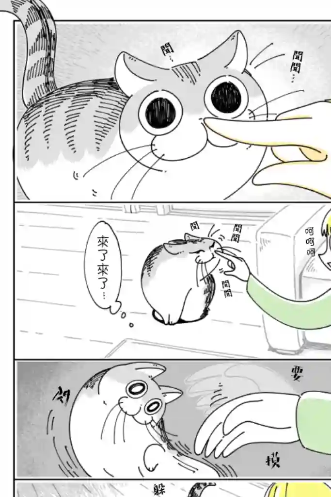 关于养猫我一直是新手第39话