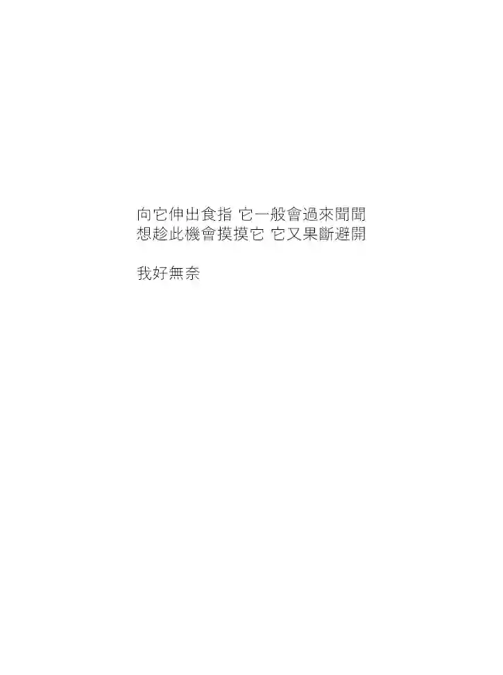 关于养猫我一直是新手第39话