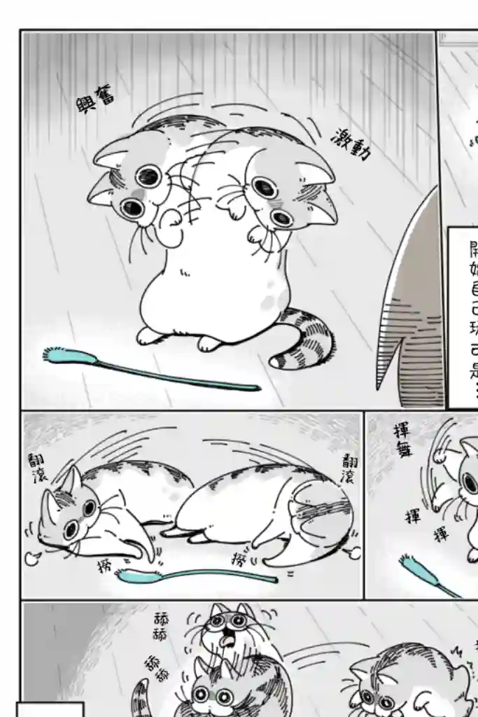 关于养猫我一直是新手第40话