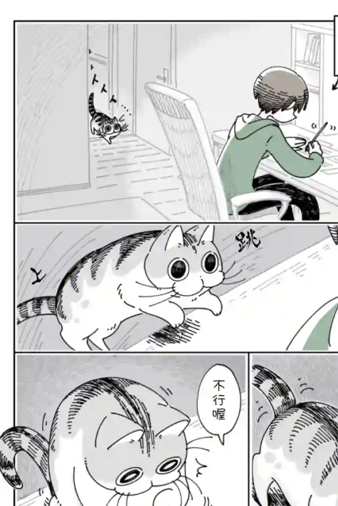关于养猫我一直是新手第41话