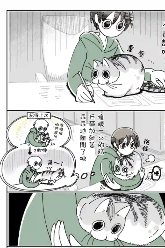 关于养猫我一直是新手第41话