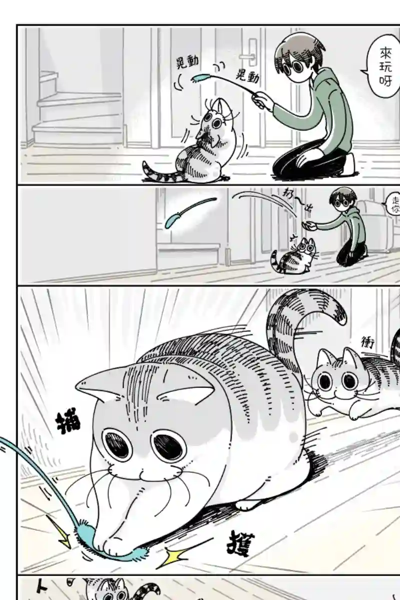 关于养猫我一直是新手第42话