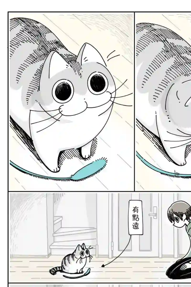 关于养猫我一直是新手第42话