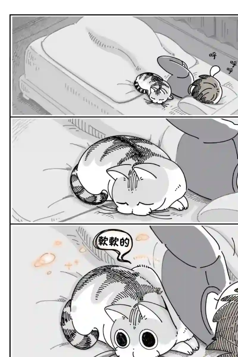 关于养猫我一直是新手第43话