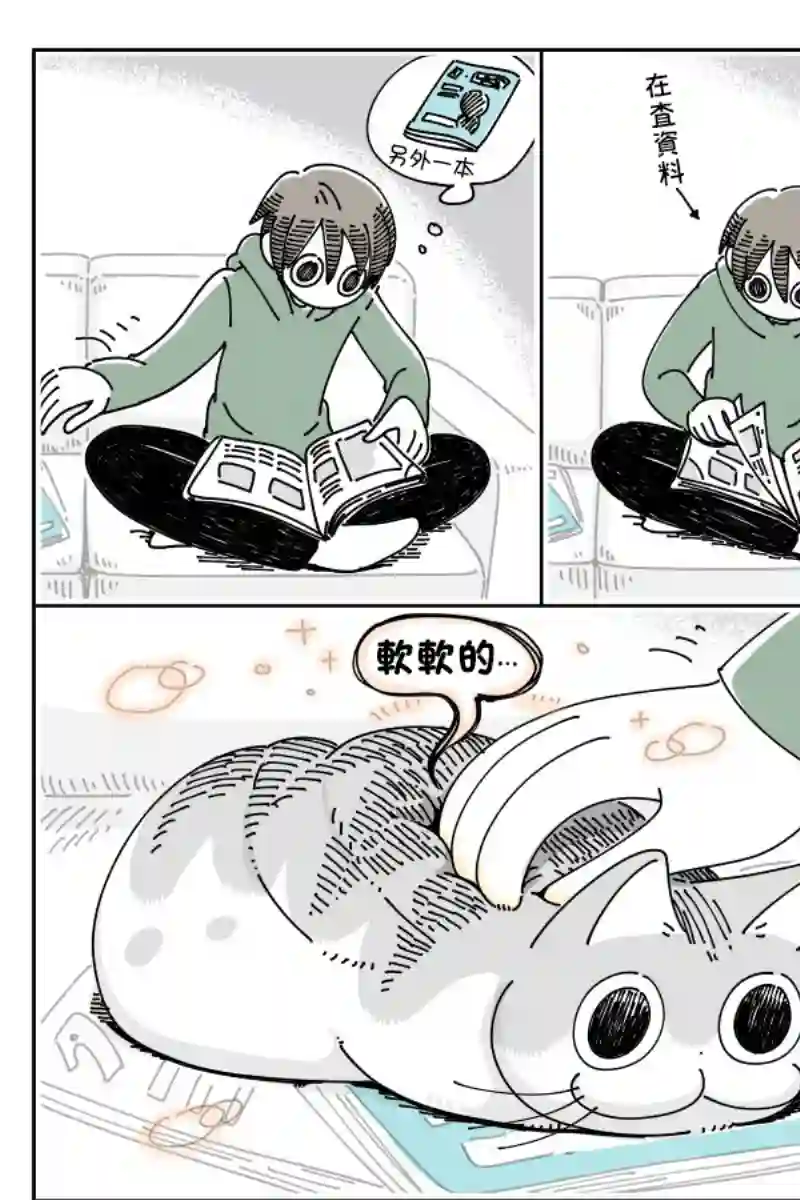关于养猫我一直是新手第43话