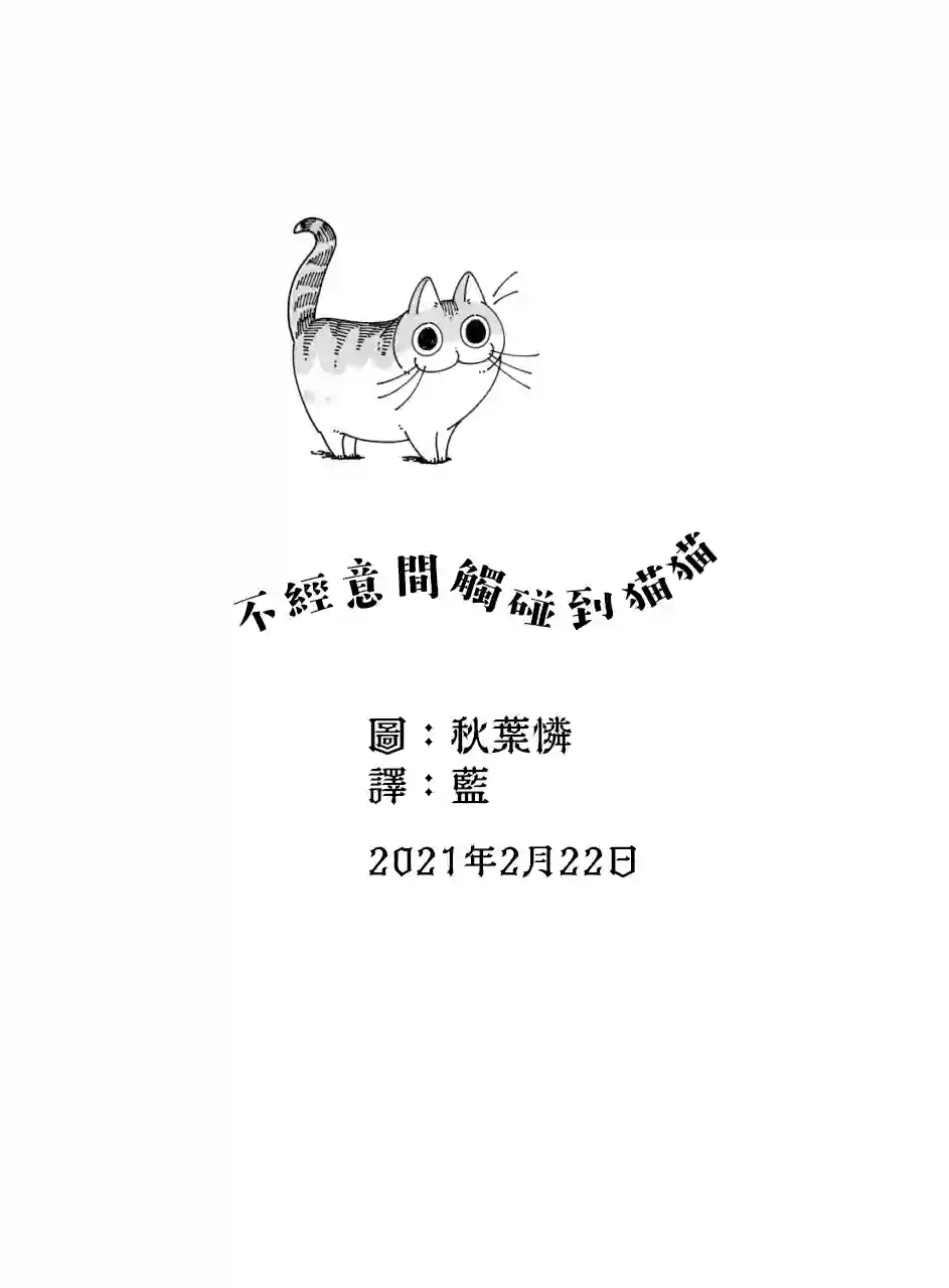 关于养猫我一直是新手第43话