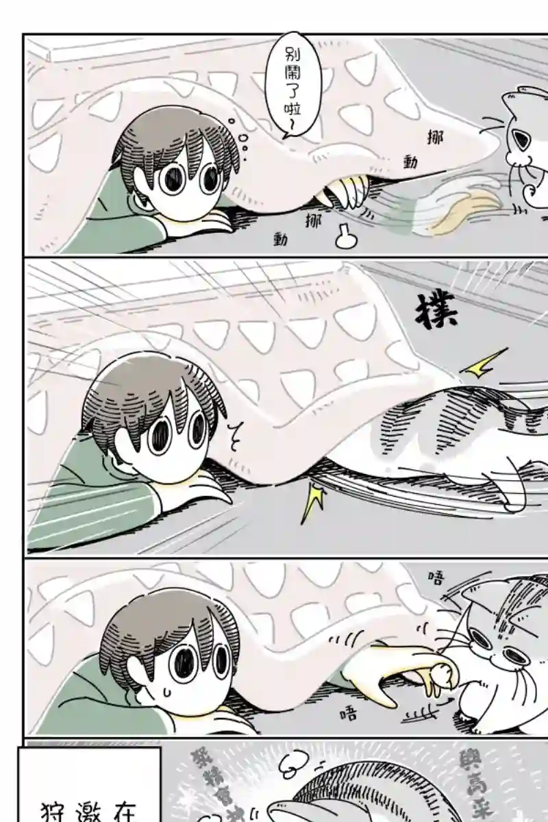 关于养猫我一直是新手第45话