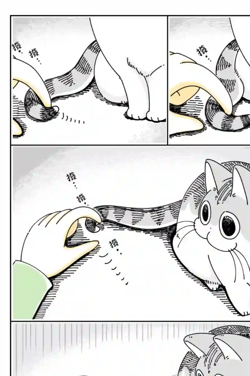 关于养猫我一直是新手第47话