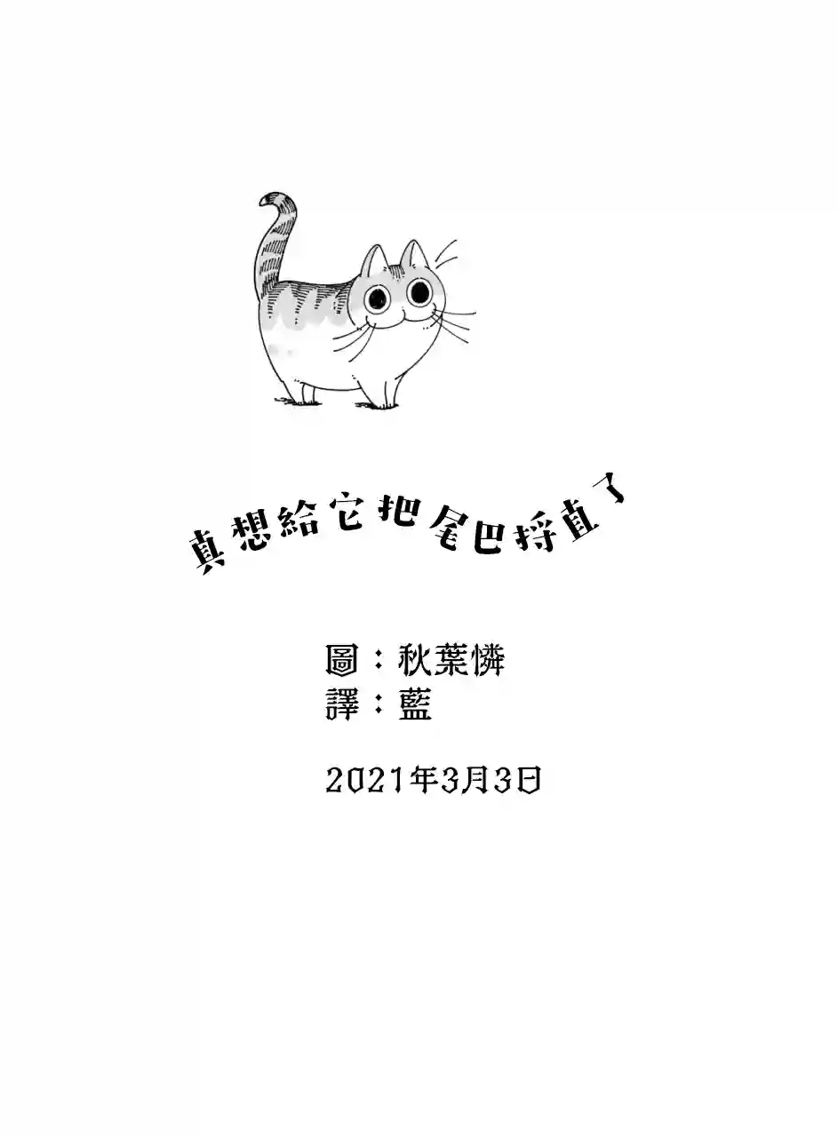 关于养猫我一直是新手第47话