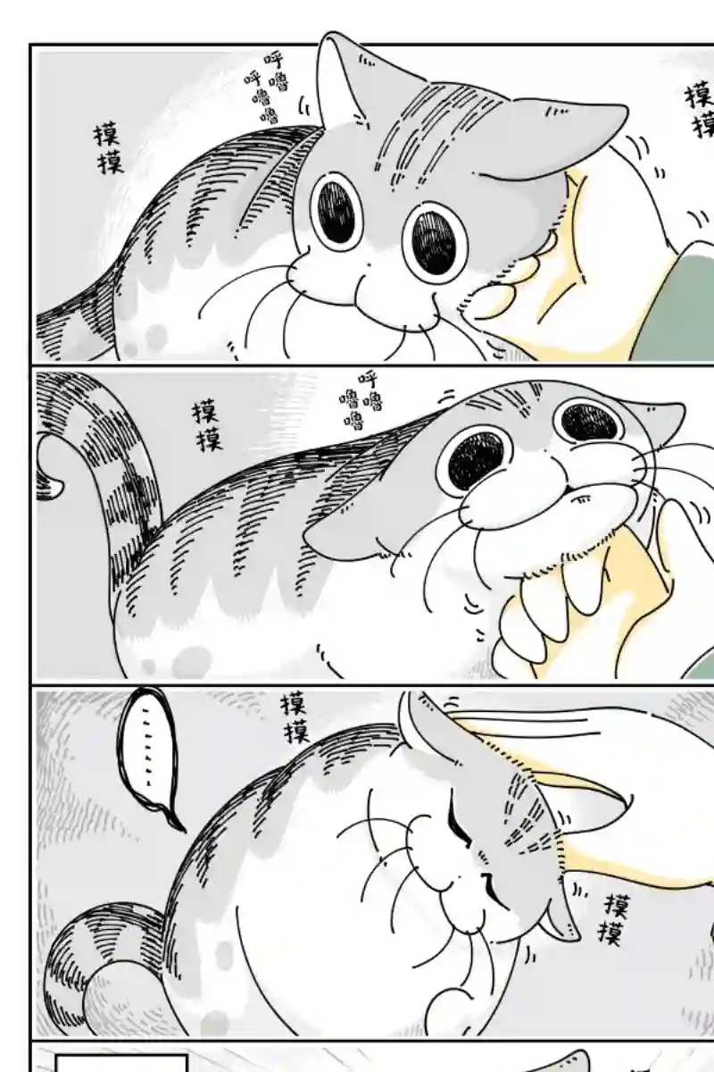 关于养猫我一直是新手第48话