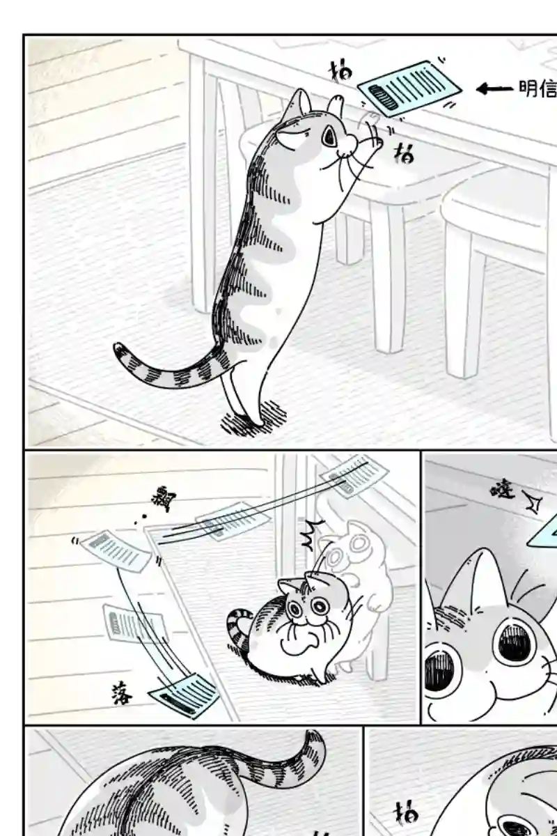 关于养猫我一直是新手第51话