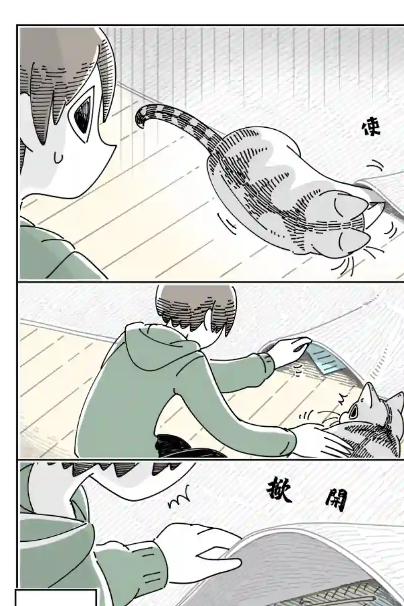 关于养猫我一直是新手第51话