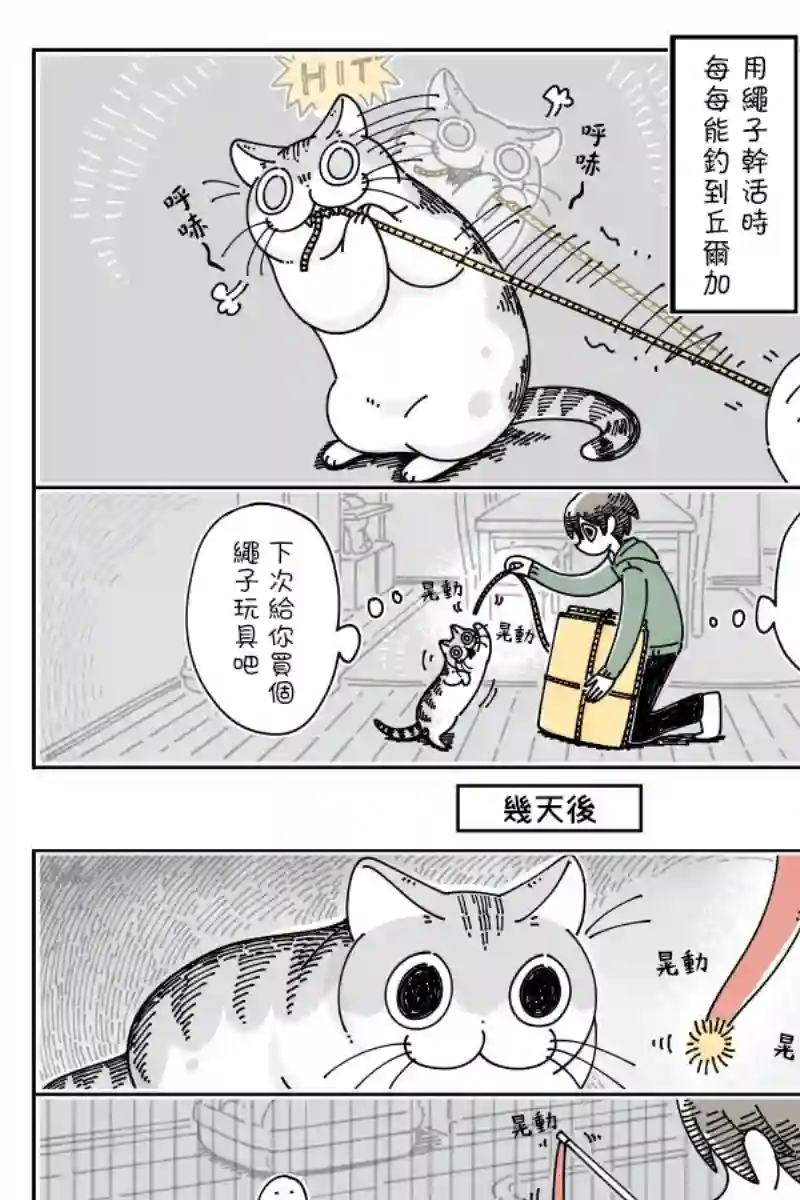 关于养猫我一直是新手第52话
