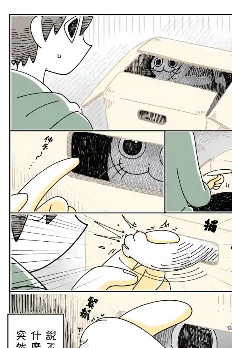 关于养猫我一直是新手第53话