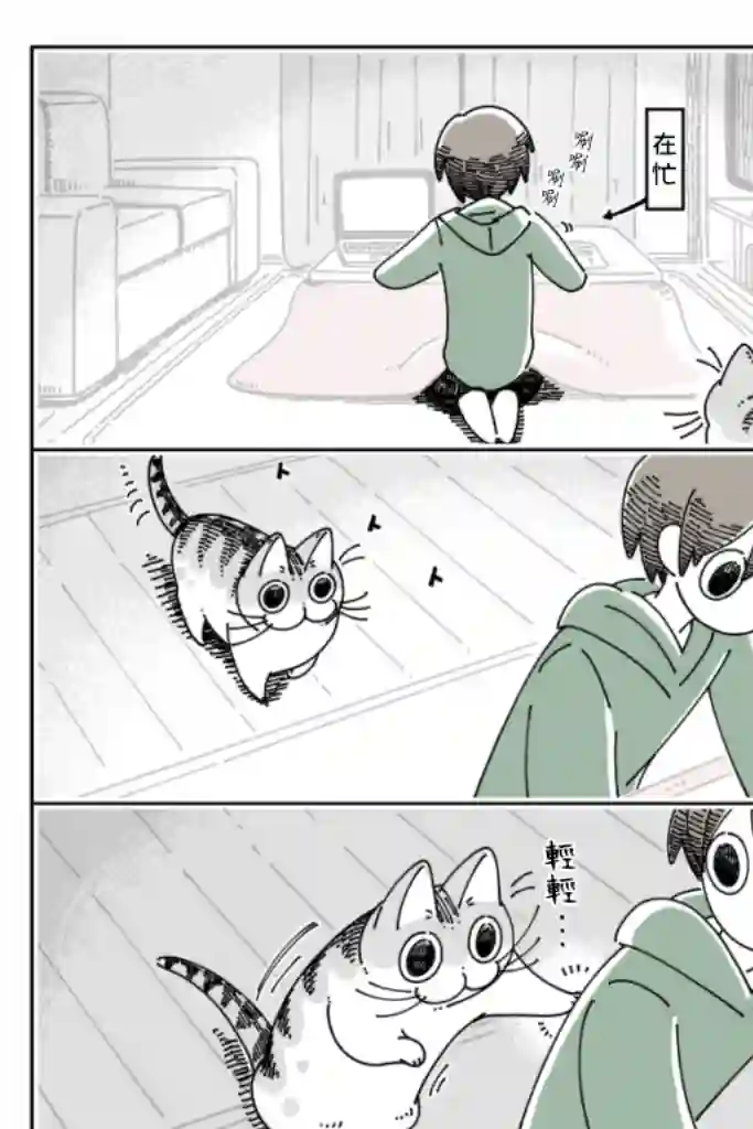 关于养猫我一直是新手第54话