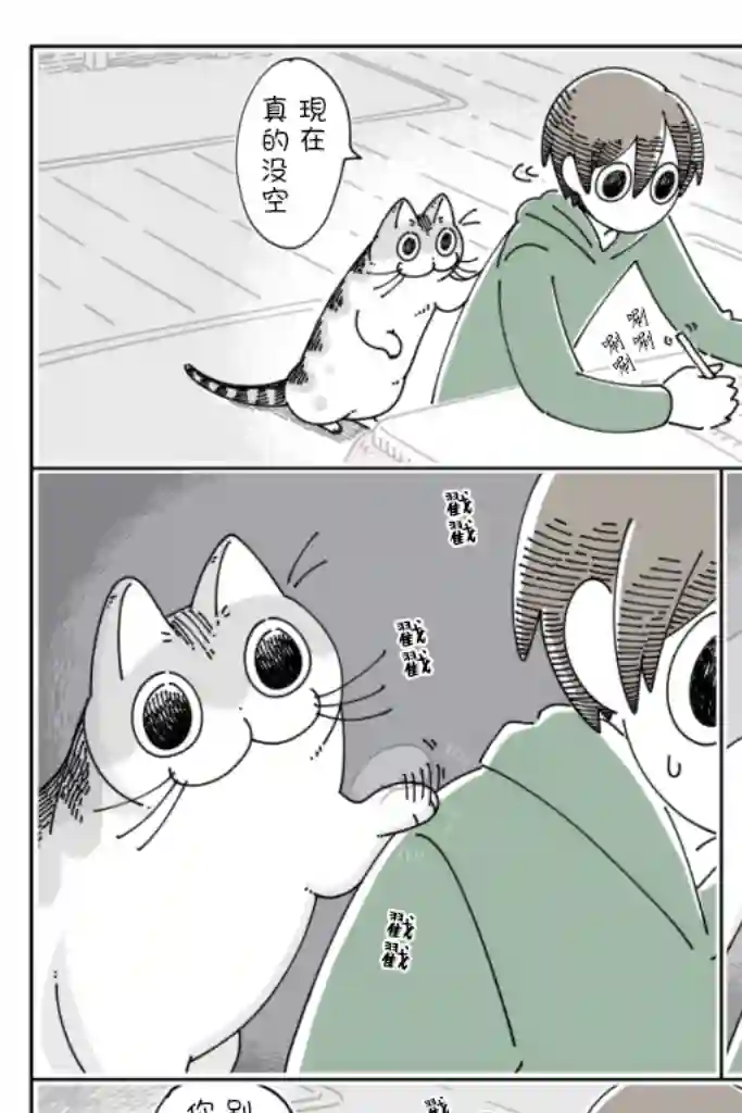 关于养猫我一直是新手第54话