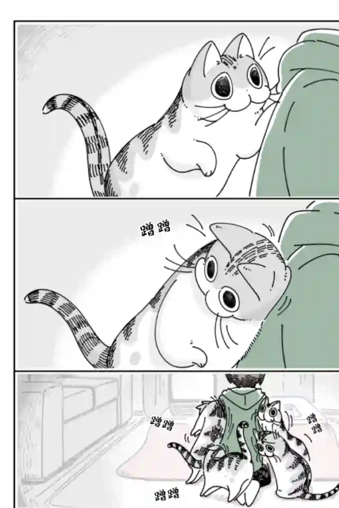 关于养猫我一直是新手第54话