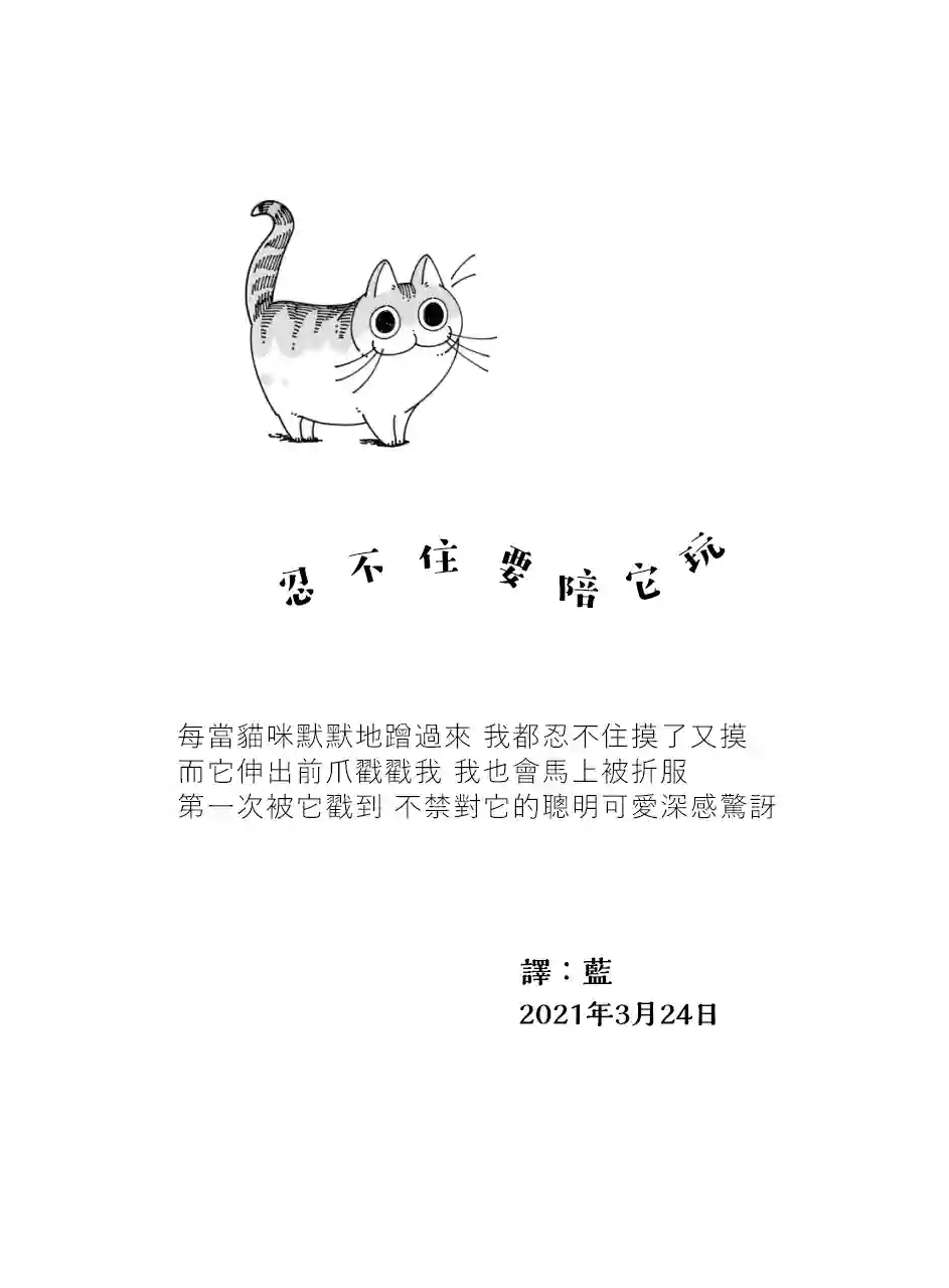 关于养猫我一直是新手第54话