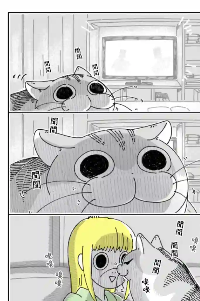 关于养猫我一直是新手第55话