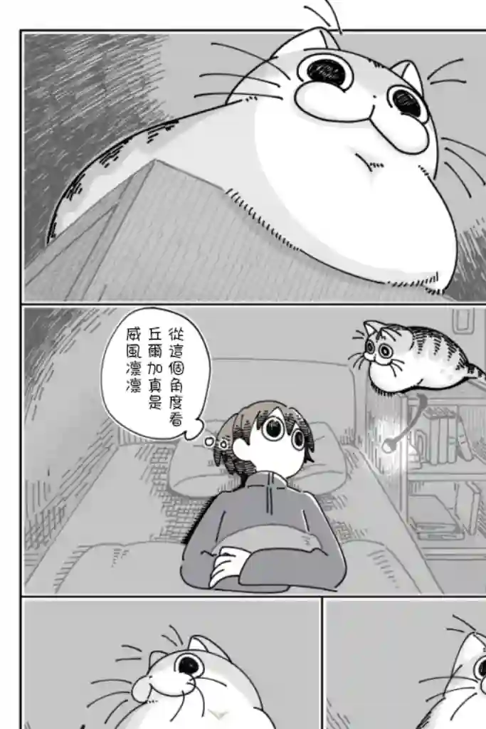关于养猫我一直是新手第56话