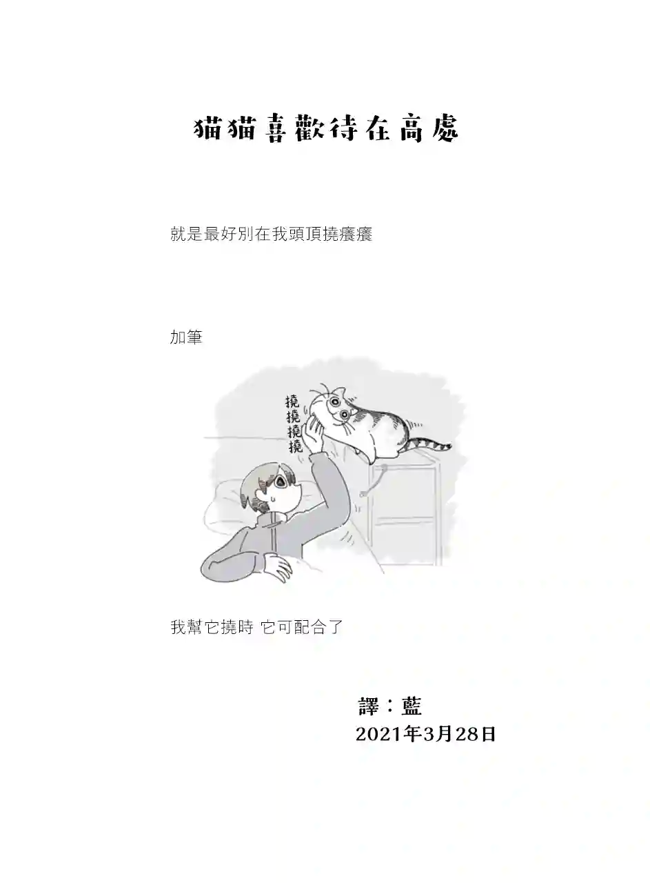 关于养猫我一直是新手第56话