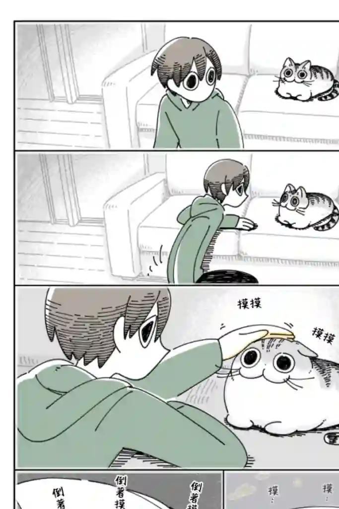 关于养猫我一直是新手第57话