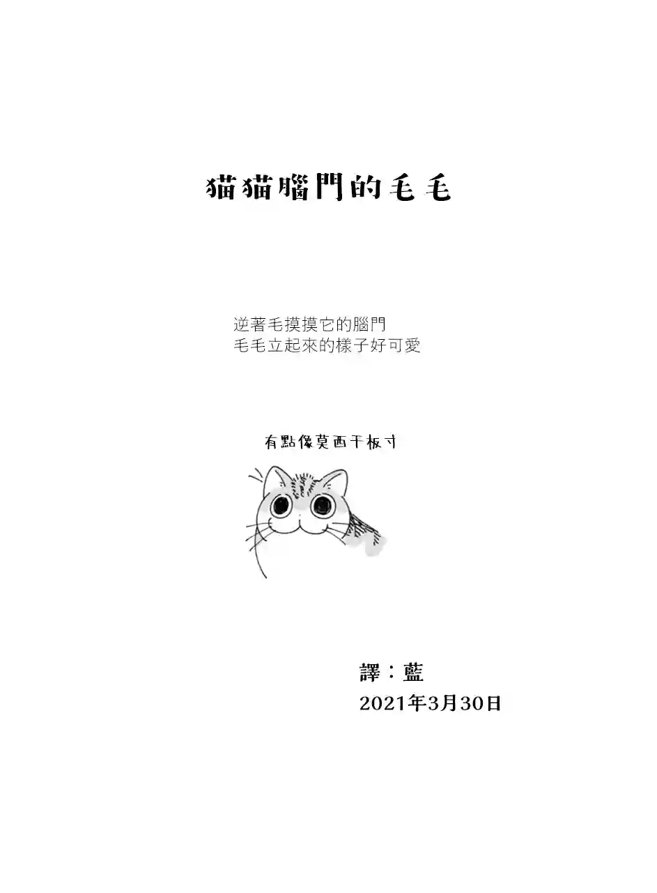 关于养猫我一直是新手第57话