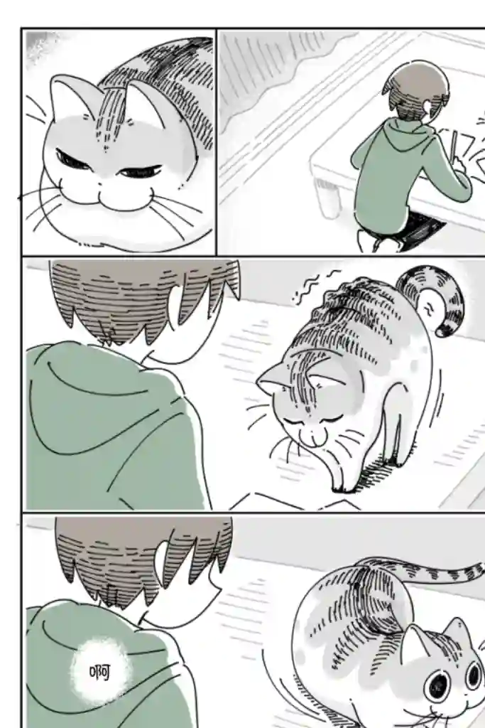 关于养猫我一直是新手第59话