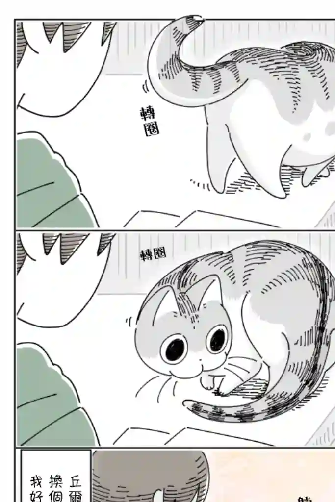 关于养猫我一直是新手第59话